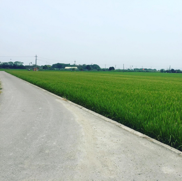 莿桐鄉麻園段三面路農地