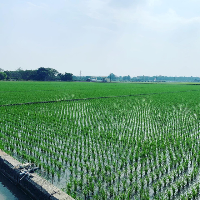 莿桐中正路旁都計內農地