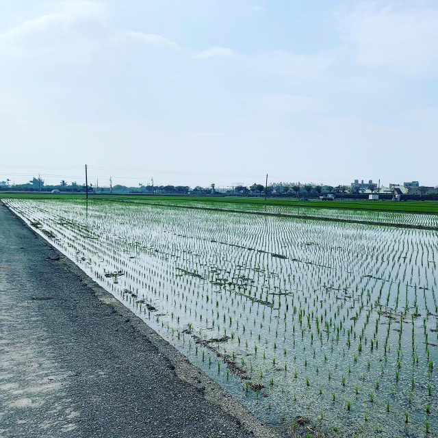 莿桐中正路旁都計內農地