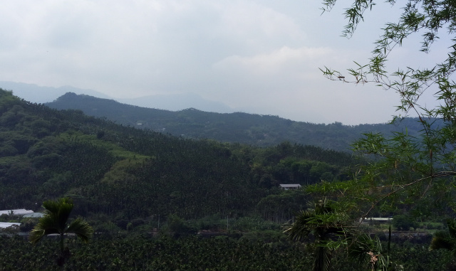 中埔景觀美農地