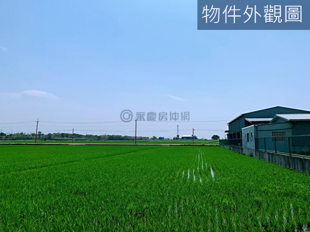近大林交流道-甘蔗崙小段雙路面都內農地(專約)