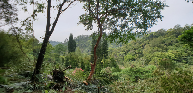 北埔綠世界低總價便宜農地