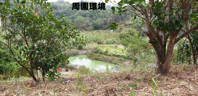 北埔臨鄉道便宜美農地水(有自來水)電齊全