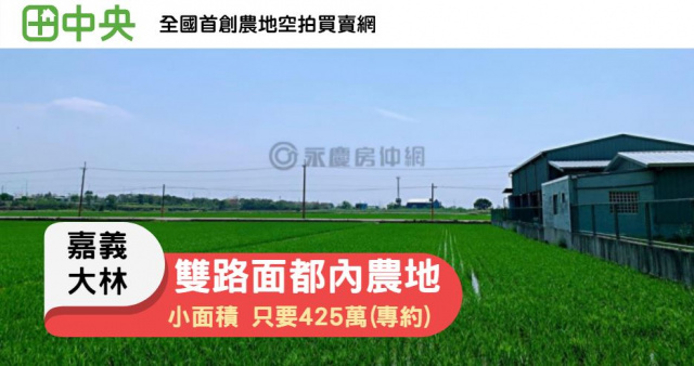 近大林交流道-甘蔗崙小段雙路面都內農地(專約)