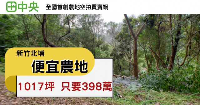 北埔綠世界低總價便宜農地
