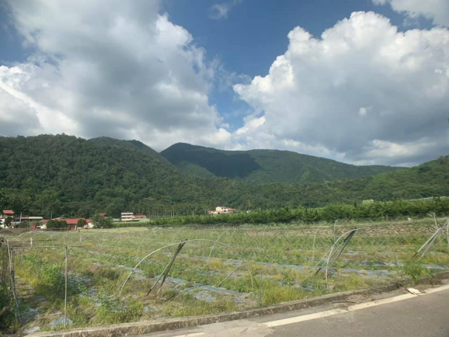 福興旁美農地