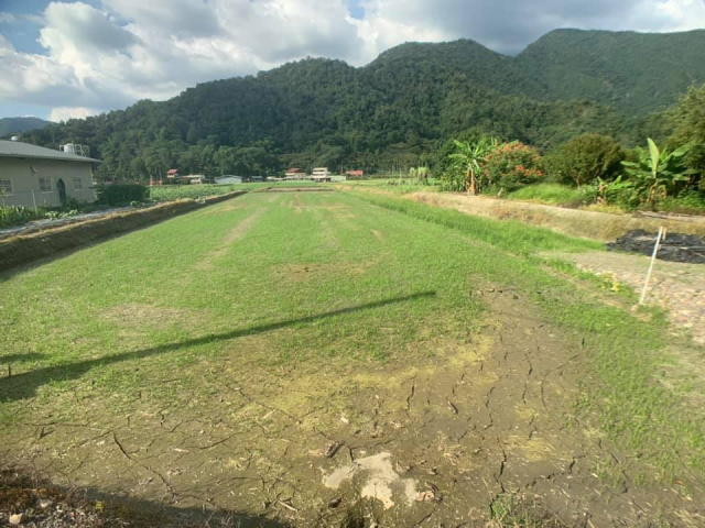 福興旁美農地