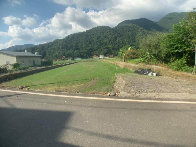 福興旁美農地