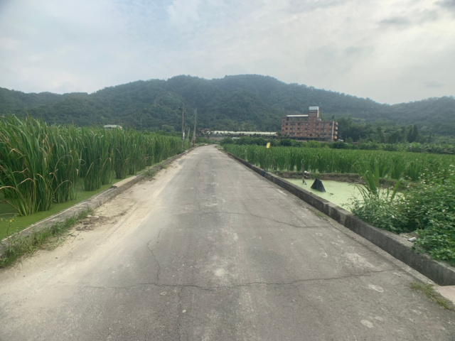 珠仔山美田