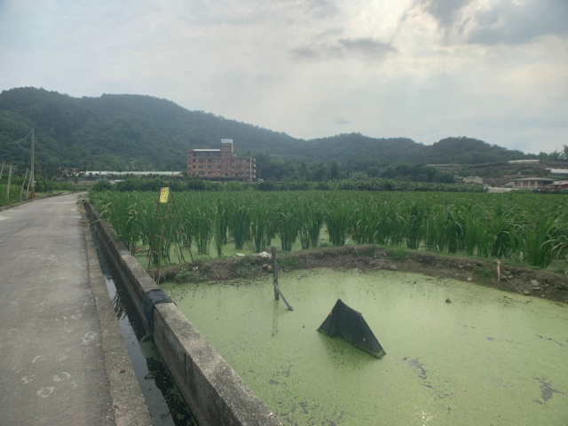 珠仔山美田