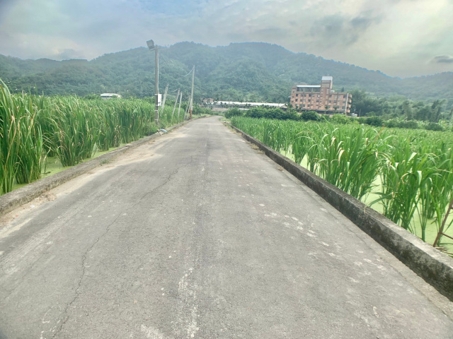 珠仔山美田