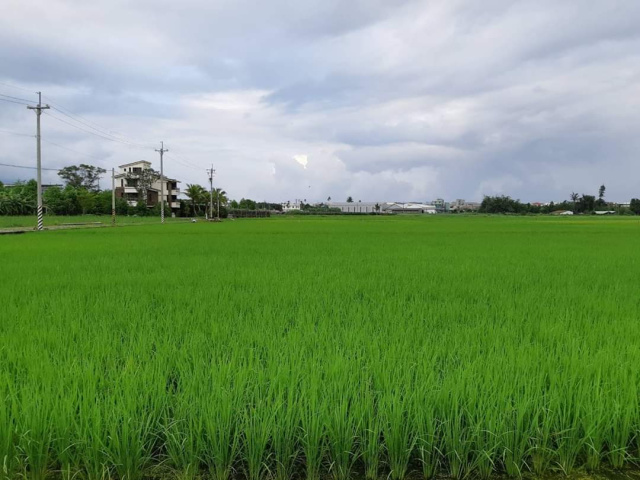 佳林雙面路農地