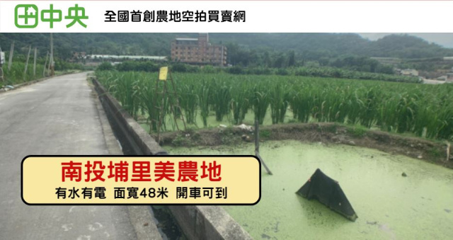 珠仔山美田