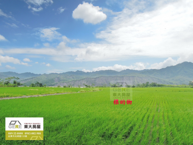 瑞源3.8甲水田地