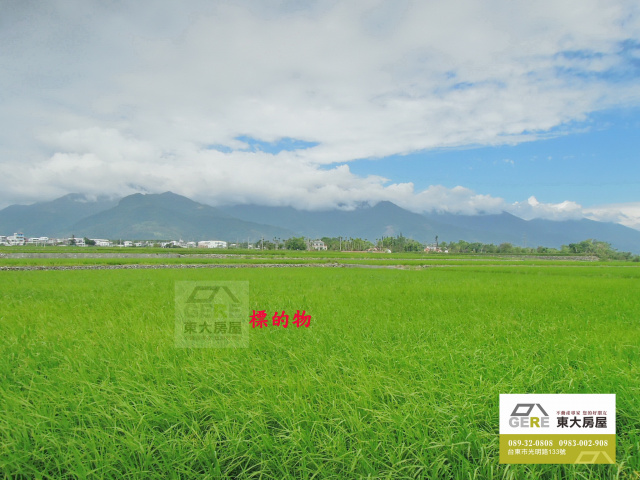 瑞源3.8甲水田地