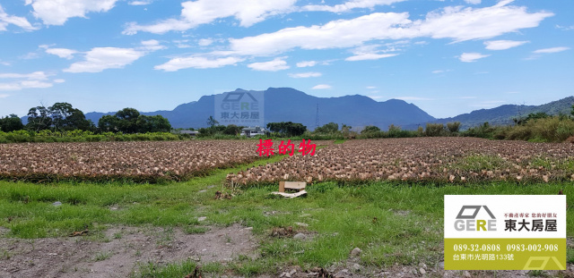 鹿野四維1甲農地