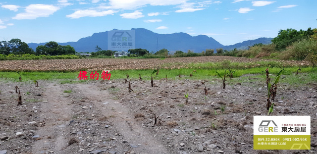 鹿野四維1甲農地