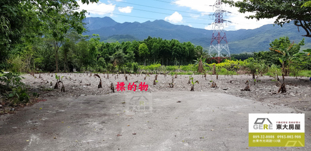 鹿野四維1甲農地