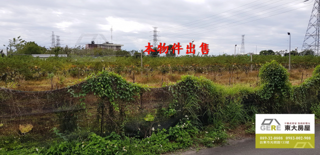 太平和平路農地