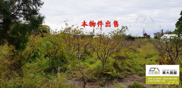 太平和平路農地