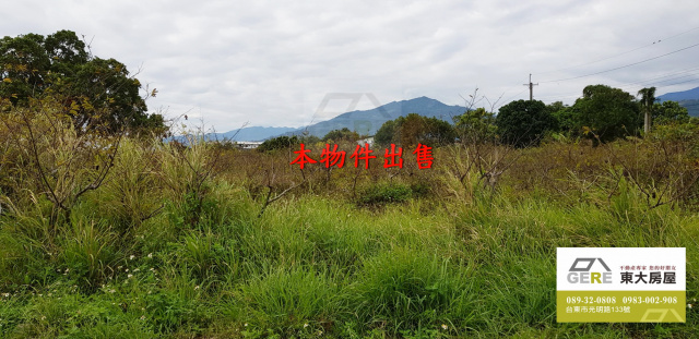 太平和平路農地