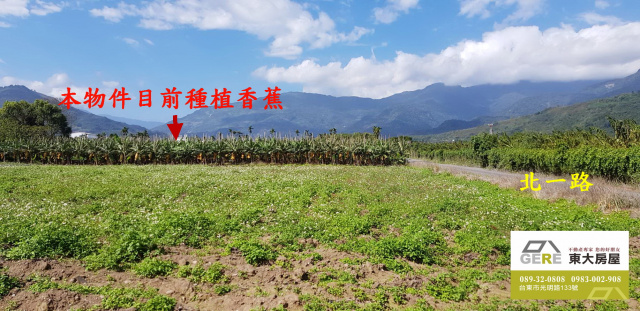 北一路都內農地3.12分