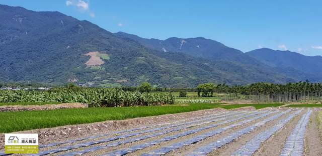 瑞源新和路農地1.2甲