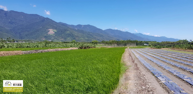 瑞源新和路農地1.2甲