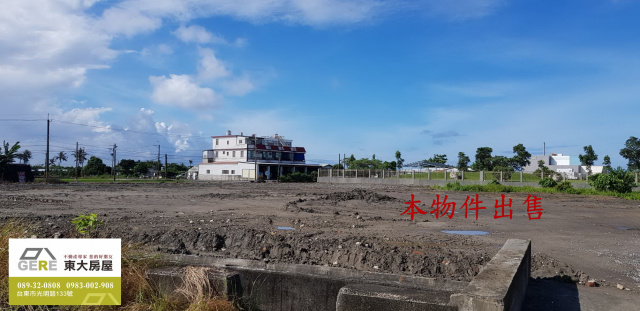 台東市臨海路雙面農地