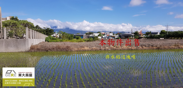 台東市臨海路雙面農地
