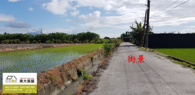 台東市臨海路雙面農地