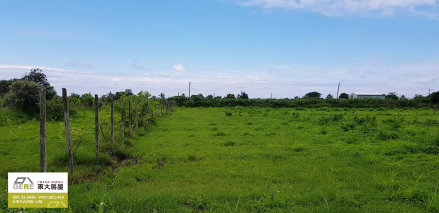 知本段3.6分微風農地