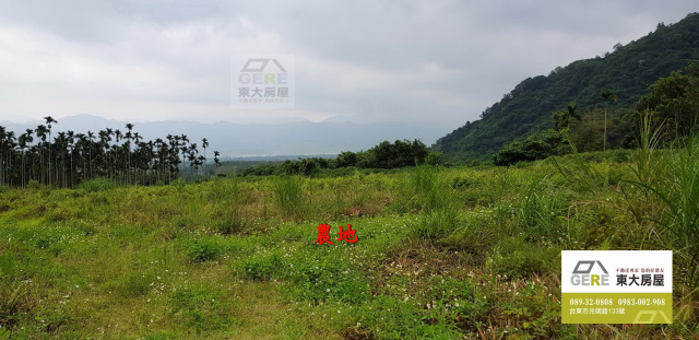 加拿村旁-農建地