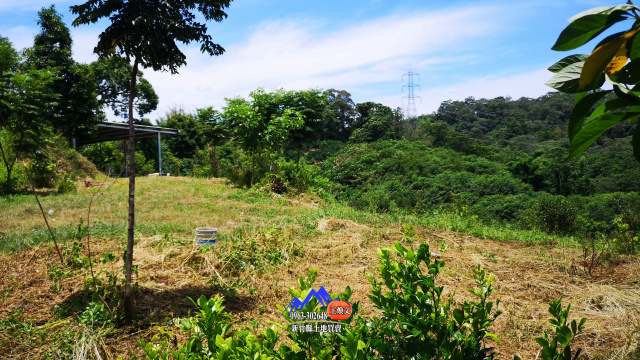 北埔寶二水庫茶樹園