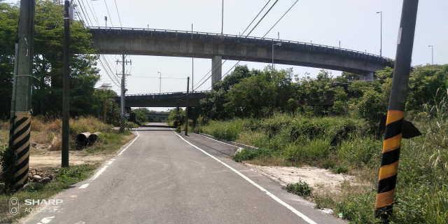 水上三界埔鄉道農地