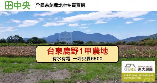 鹿野四維1甲農地