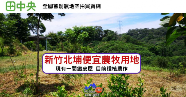 北埔寶二水庫茶樹園