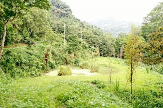 南富精舍會館休閒美地*-*苗栗大總管、租、管、售