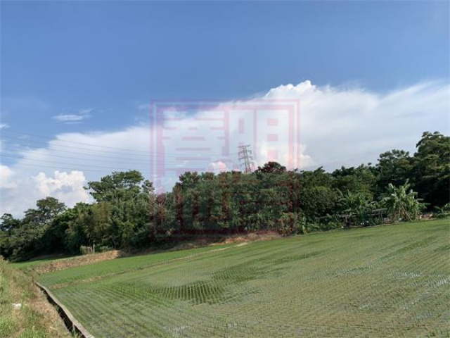 頭份金元便宜田-春明地產-035551111