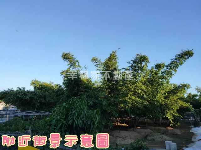 近奇美博物館都計方正美農地,不要管開價,出價就來談喔!