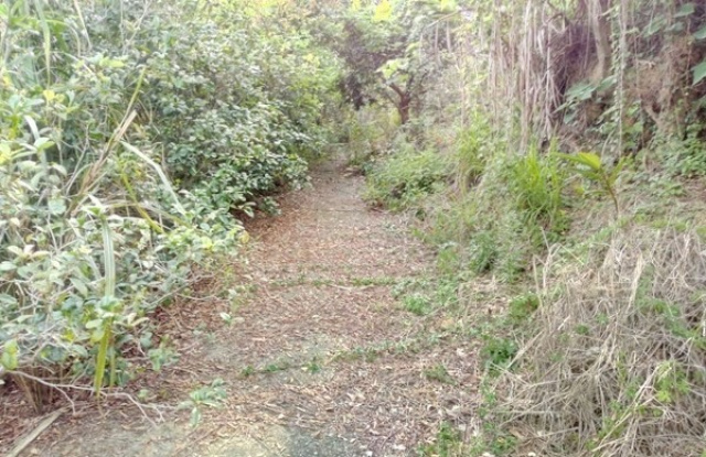 苗栗西湖龍洞農牧地(7252平方公尺)