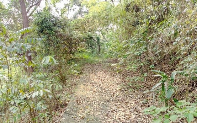 苗栗西湖龍洞農牧地(7252平方公尺)