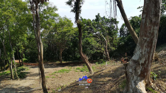 橫山中華科大廣角視野美地