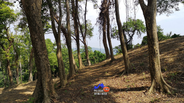 橫山中華科大廣角視野美地