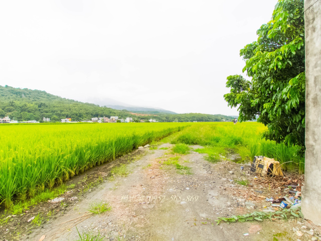 花蓮玉里近三民火車站農地220坪