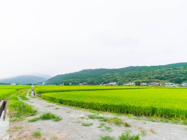 花蓮玉里近三民火車站農地220坪