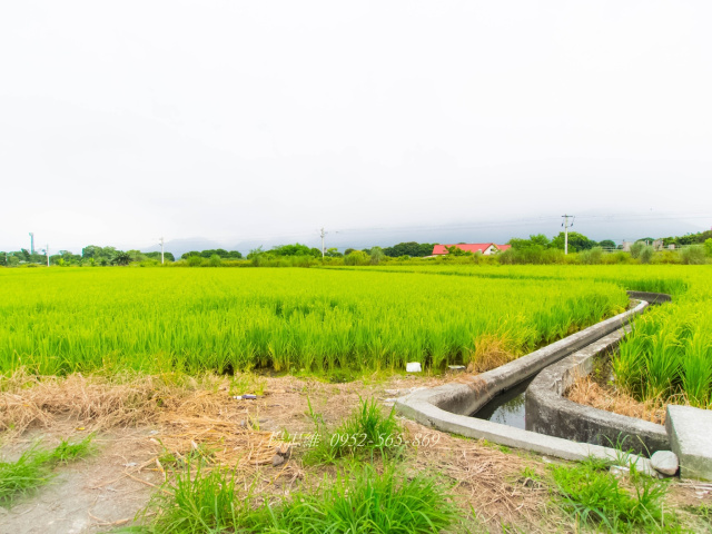 花蓮玉里近三民火車站農地454坪