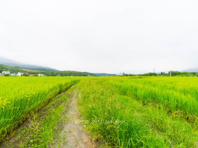 花蓮玉里近三民火車站農地454坪