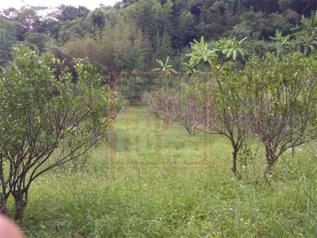 北埔鄉麥客田園179坪休閒農地(一)-春明地產-035551111