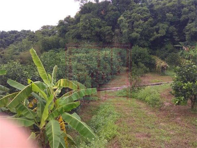 北埔鄉麥客田園1277坪休閒農地(二)-春明地產-035551111